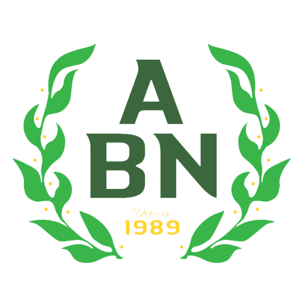 ABN – Agence Bourbonnaise de Nettoyage
